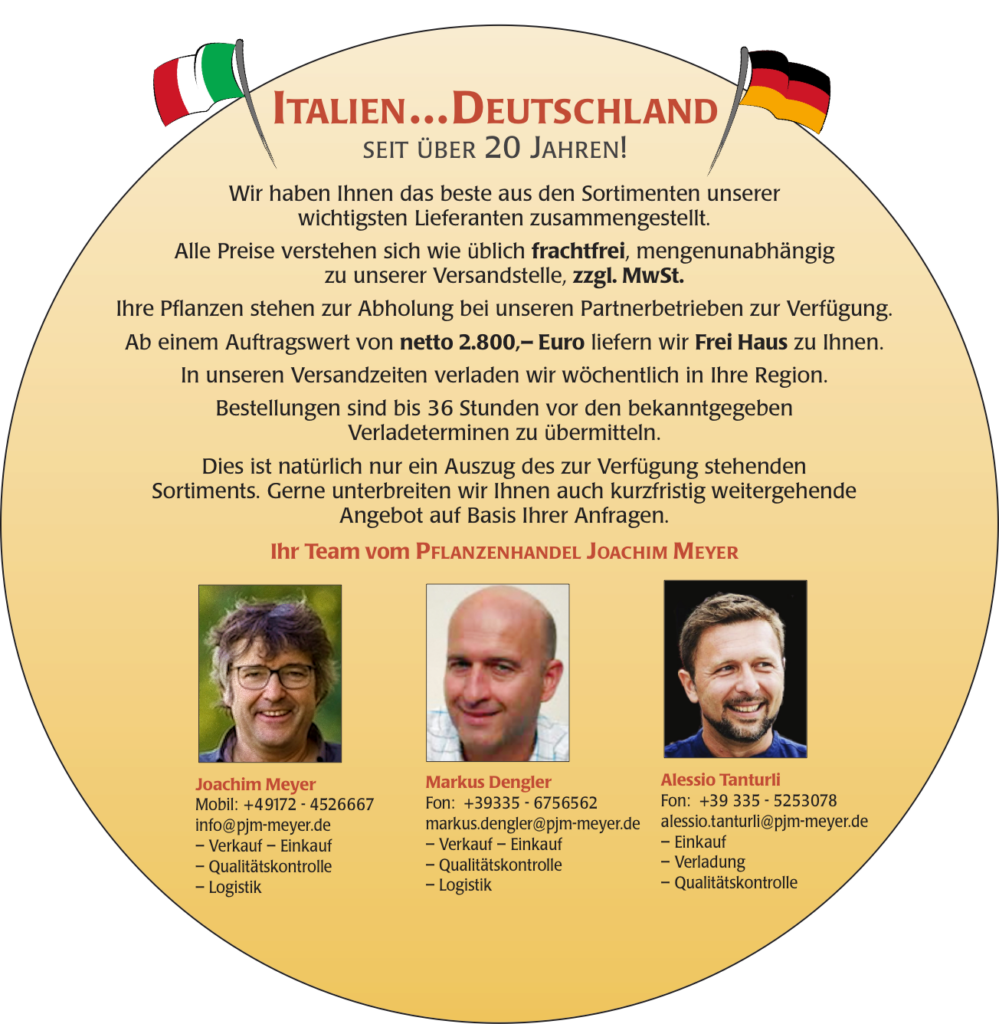 italien...deutschland neu